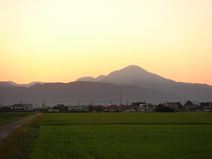 ibukiyama3.jpg